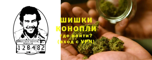 крисы Балахна